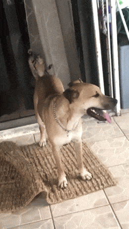 Acid GIFs, August 5 (25 gifs)