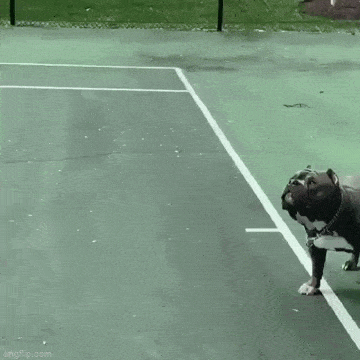 Acid GIFs, August 5 (25 gifs)
