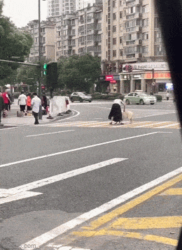 Acid GIFs, August 5 (25 gifs)