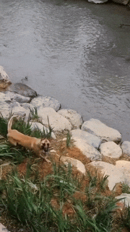 Acid GIFs, August 5 (25 gifs)