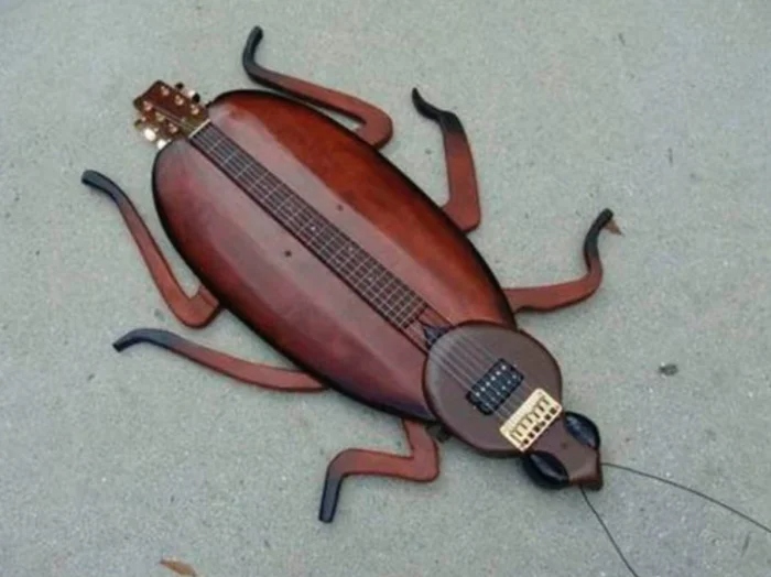 Weird Designs (15 pics)