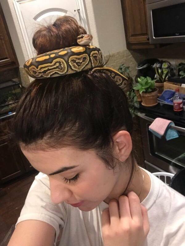 Daily Pictures. Part 1 (58 pics)