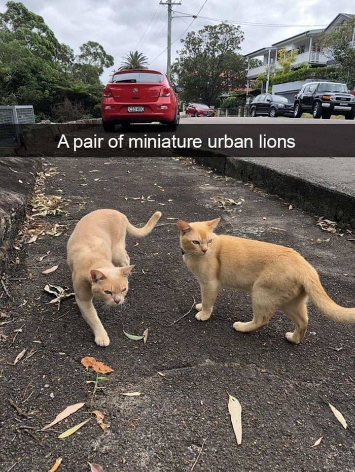 Daily Pictures. Part 2 (57 pics)