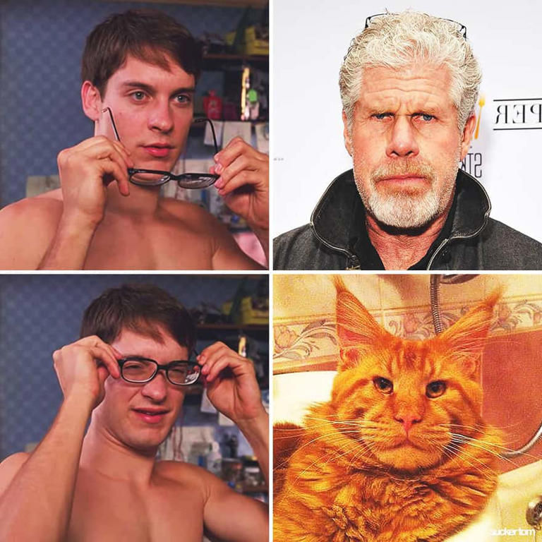 Daily Pictures. Part 2 (59 pics)