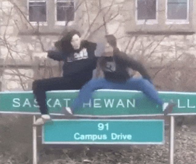 Acid GIFs, August 7 (25 gifs)