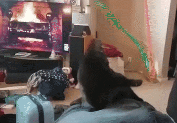 Acid GIFs, August 7 (25 gifs)