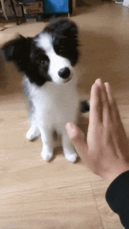 Acid GIFs, August 6 (25 gifs)