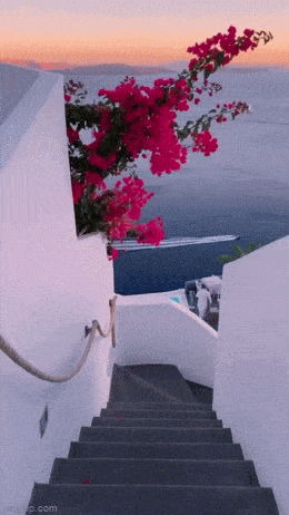Acid GIFs, August 6 (25 gifs)