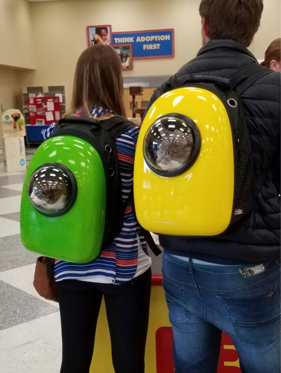 Daily Pictures. Part 1 (65 pics)