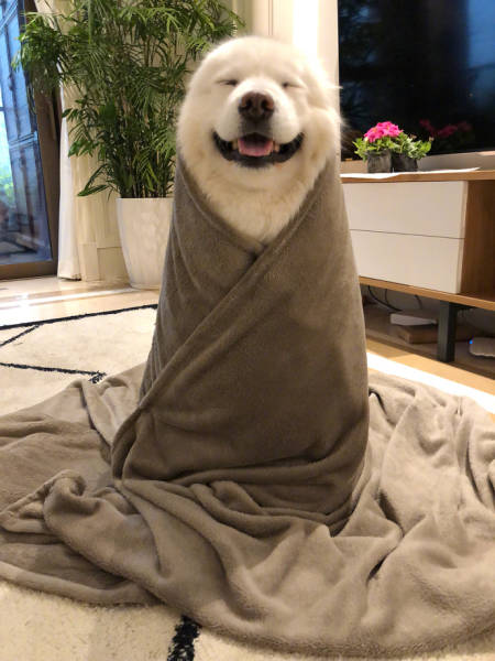 Daily Pictures. Part 1 (65 pics)