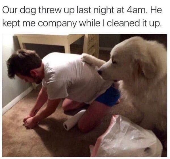 Daily Pictures. Part 2 (64 pics)