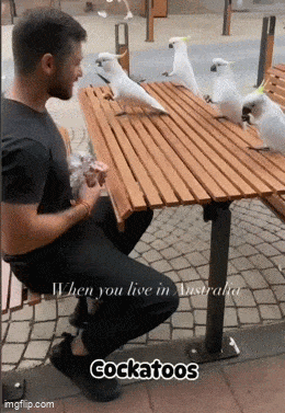 Acid GIFs, August 8 (25 gifs) Acid GIFs, August 8 (25 gifs)
