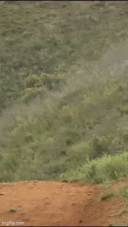 Acid GIFs, August 8 (25 gifs) Acid GIFs, August 8 (25 gifs)