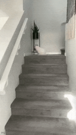 Acid GIFs, August 8 (25 gifs) Acid GIFs, August 8 (25 gifs)