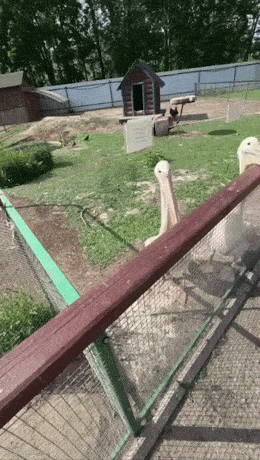 Acid GIFs, August 8 (25 gifs) Acid GIFs, August 8 (25 gifs)