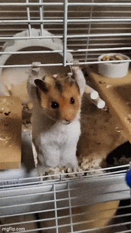 Acid GIFs, August 8 (25 gifs) Acid GIFs, August 8 (25 gifs)