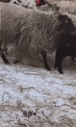 Acid GIFs, August 8 (25 gifs) Acid GIFs, August 8 (25 gifs)