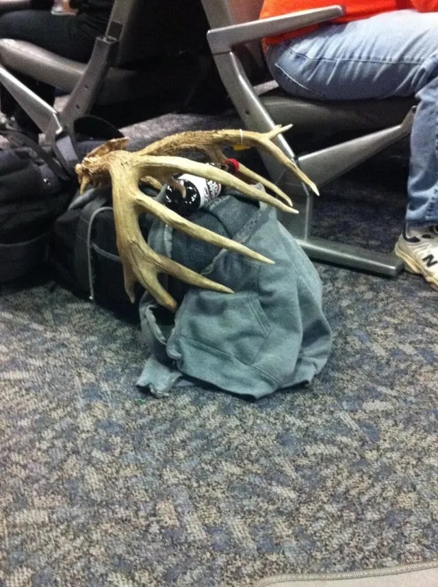 Strange Situations At Airports (13 pics)