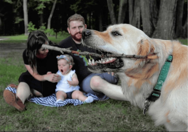 Cool Photobombs (15 pics)