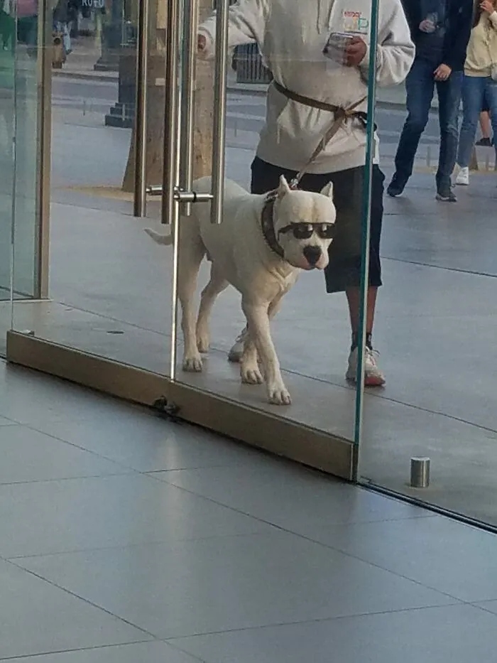 Photos For Dogs Lovers (23 pics)
