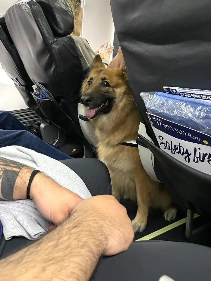 Photos For Dogs Lovers (23 pics)