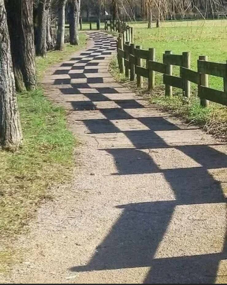 Daily Pictures. Part 1 (59 pics)