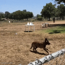 Acid GIFs, August 11 (25 gifs)