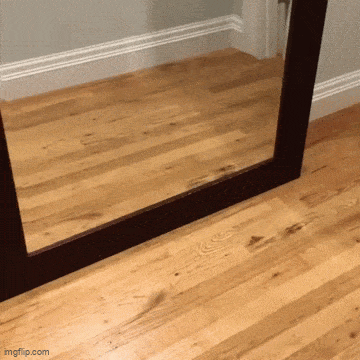Acid GIFs, August 11 (25 gifs)