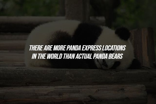 Creepy Facts (15 pics)
