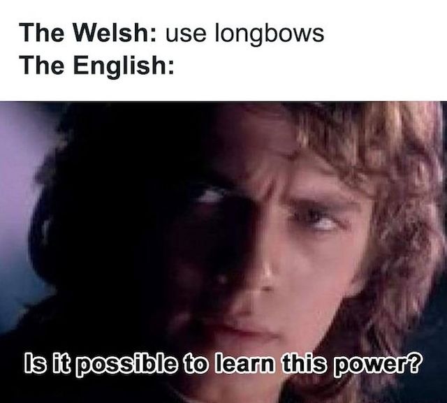 Medieval Memes (25 pics)