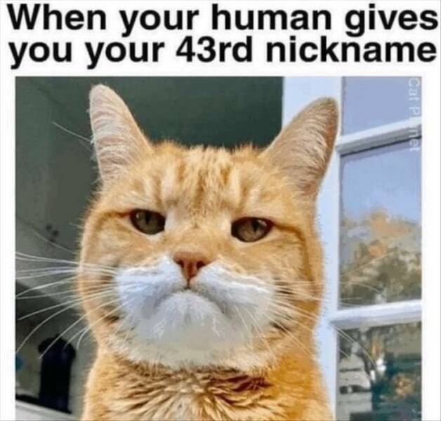 Daily Pictures. Part 2 (61 pics)