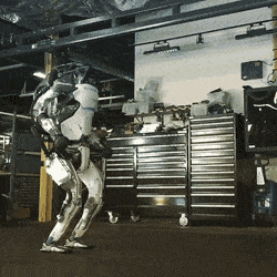 Acid GIFs, August 12 (25 gifs)