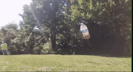 Acid GIFs, August 12 (25 gifs)
