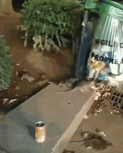 Acid GIFs, August 12 (25 gifs)