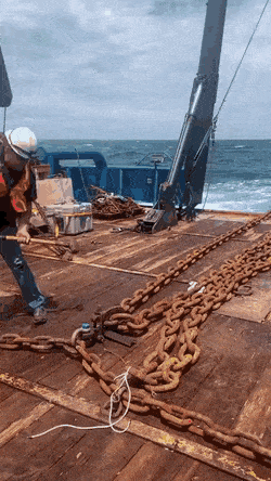 Acid GIFs, August 12 (25 gifs)