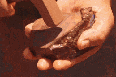 Acid GIFs, August 12 (25 gifs)