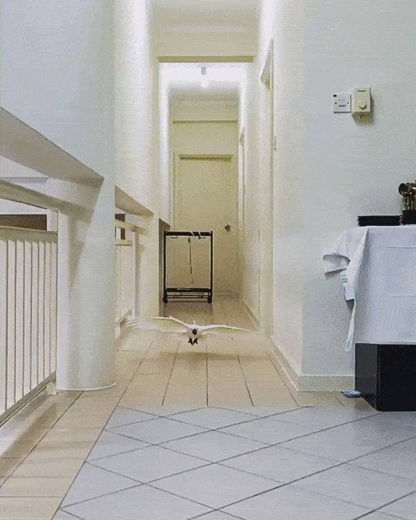 Acid GIFs, August 12 (25 gifs)