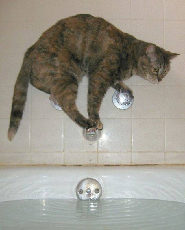 Daily Pictures. Part 1 (63 pics)