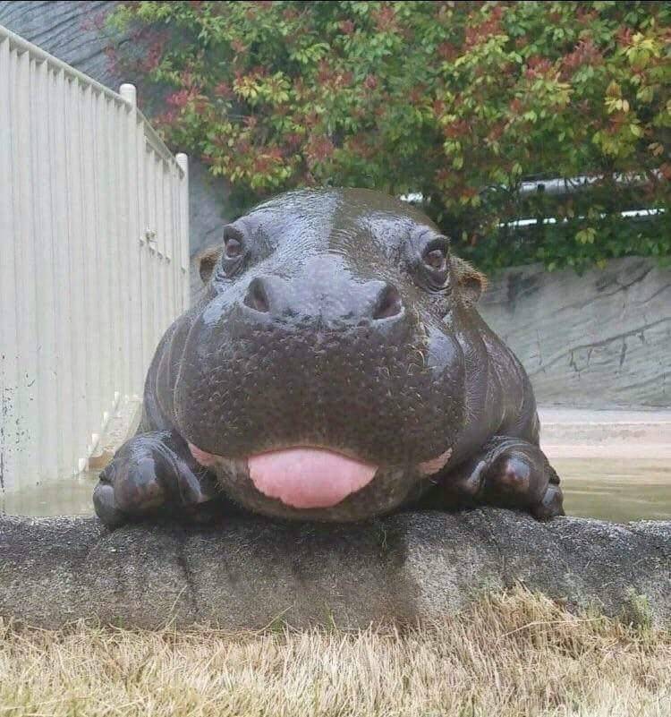 Daily Pictures. Part 1 (63 pics)