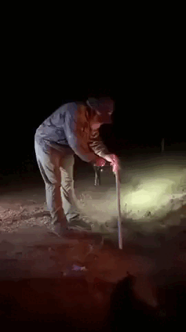 Acid GIFs, August 13 (25 gifs)