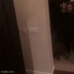 Acid GIFs, August 13 (25 gifs)