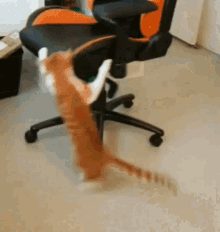 Acid GIFs, August 13 (25 gifs)