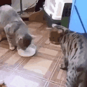 Acid GIFs, August 13 (25 gifs)