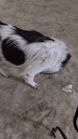 Acid GIFs, August 13 (25 gifs)