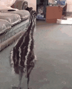 Acid GIFs, August 13 (25 gifs)