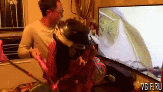 Acid GIFs, August 13 (25 gifs)