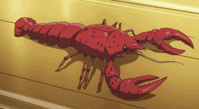 Random Facts (15 gifs)