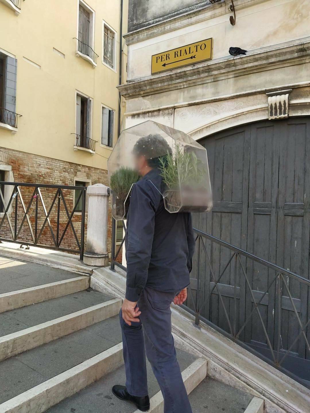 Daily Pictures. Part 2 (62 pics)