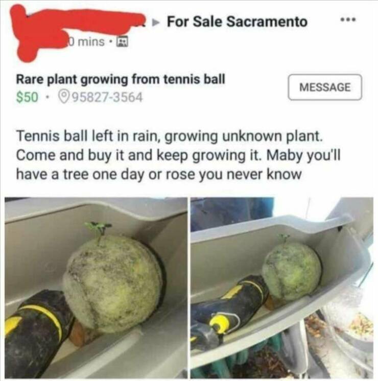 Daily Pictures. Part 2 (62 pics)