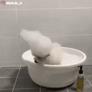 Acid GIFs, August 14 (25 gifs)